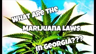 What are the Marijuana Laws in Georgia 2019?