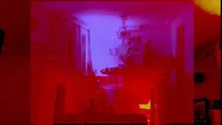 NoЁЛ 2024 avec Minereed, Mårble, Ms. Mårble, Natalia Petrikova, dolphin hospital