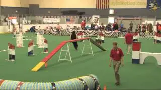 Ray-Round 1-WTT2012.mp4