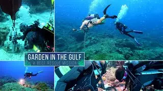 Garden in the Gulf: A Reef Rescue Mission