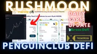 Rush Moon | Обмен булочками с корицей | Финансы Penguin Club | Ежедневное обновление