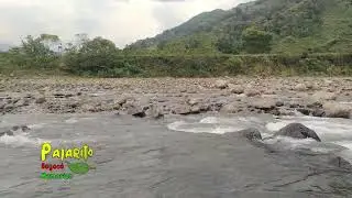Río Cusiana (Puente La Cabuya) Pajarito Boyacá 23/01/2026