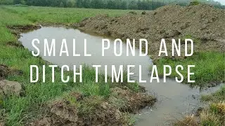 Pond and Ditch time lapse 2 MINUTE VIDEO