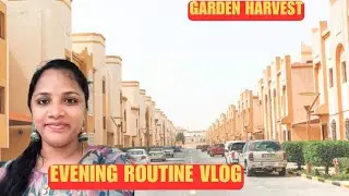 Evening routine vlog in qatar| Qatar garden harvest #dohaqatar #Qatartamil 