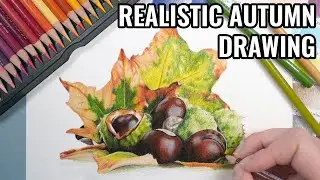 Осенний рисунок цветными карандашами | Каштаны с Prismacolor