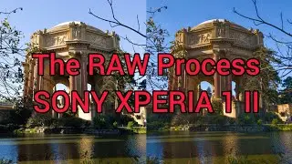 Editing RAW Photo Using Snapseed on my Sony Xperia 1 II
