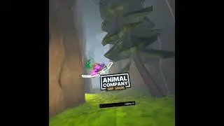 first pug video