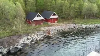 Sjonfjellet til For&oslash;y