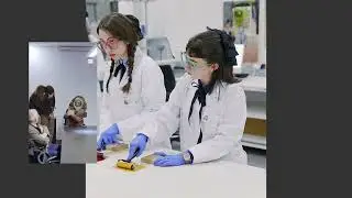 Elisava Collective Experience - Bachelors 2025