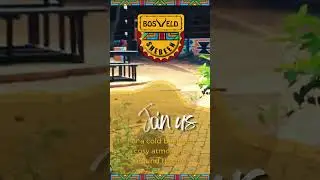 Bosveld Shebeen - SM Video - Week 51