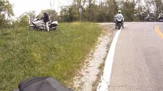 Bob555