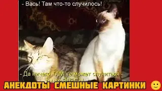 Вась! Там что-то случилось!- Да ничего ТАМ не может случиться -Ты же ЗДЕСь! смешные картинки музыка 