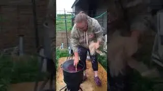 Dyeing Alpaca Fiber