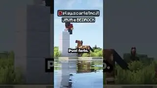 SERVER NORMALE VS SERVER MAPPA DEL MONDO su MINECRAFT 🌍🤩