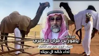 شلة الموسم🏆🔥🔥فرديات يافور بن قران العامري كلمات: النوبي العامري اداء: خالد ال بريك