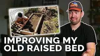 Gardener Reacts To His First Raised Bed Design!