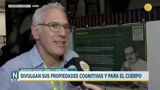 Documentos in&eacute;ditos de Bernardo Houssay sobre la yerba mate │N20:30│ 19-09-25