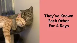 50 Uplifting Animal Pictures To Help You Get Through The Week - Happy Paw
