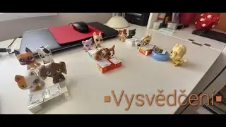 LPS: Vysvědčení