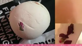 Lush Cosmetics Rose Bombshell - M0llie (Mollie W)💖