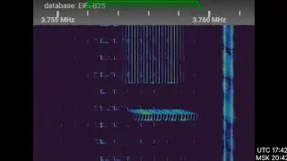 The Pip strange sounds on day 25.12.2025