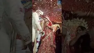 December 4, 2022 😍 jaimala  video //🥰🥰#video #shorts