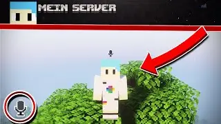 So kannst du Simple Voice Chat auf deinem Minecraft-Server benutzen !? 😱