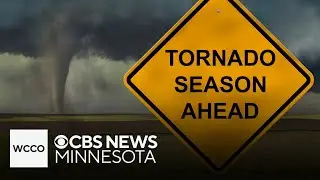 How a quick-thinking bus driver saved kids during a tornado in Wisconsin