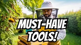 5 Innovative Beekeeping Tools Every Beekeeper Needs (2024)