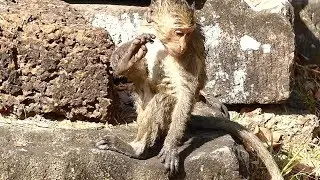 Jane Ignore Janet | Moter Nurse and Feeding Baby Janna | Monkey Crying