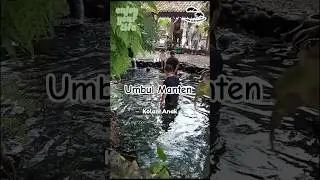 Update Wisata umbul manten 10K #shorts