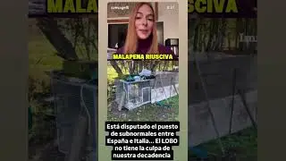 LOBO encerrado en ITALIA 🐺💀 #lobo #italia #noticias #lobos #ilegal #fauna #policia