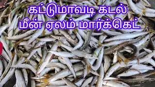 KATTUMAVADI SEA FISH MARKET #fish,#seafood,#mjmm views,