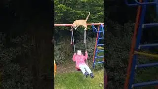 Gato se cae encima de una ni&ntilde;a y la hace caer de el  columpio 🤪