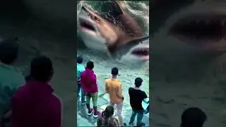 two-headed shark #shark #movie #trending