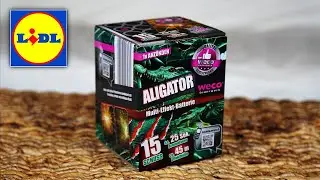 Aligator von Lidl🔥 | Weco Feuerwerk Batterie Silvester 2024/2025