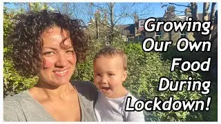 GROWING OUR OWN FOOD IN LOCKDOWN! | HEALTHY PREGNANCY VLOG UK