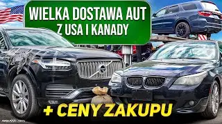 CO IMPORTUJĄ NASI KLIENCI, CZY STARSZE AUTA SIĘ OPŁACAJĄ? (Od 1600 do 23.000 USD)