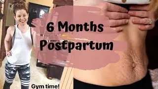 Getting Back in Shape | 6 Months Postpartum