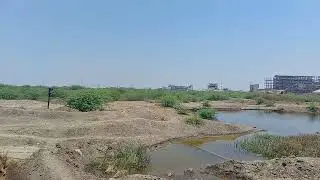 Sale 65 Acre  Dahej GIDC Land Camikal Zon Mor Dhen 600 Propaty available All Gujarat Mo 8905333201