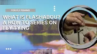 What is Flashabou?
