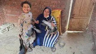 تعالوا ننضف المكان عشان نبدا المشروع الجديد مشروع هيلبسك دهب ويغنى الفقير فى اقل وقت 