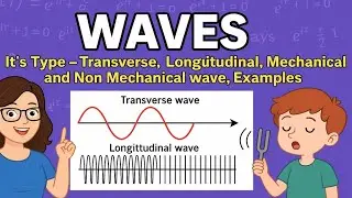 Waves it's type - Transverse, Longitudinal, Mechanical and Non Mechanical wave , Examples