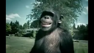 Bonboon If He Locked In