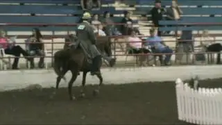 BE MY GUEST - ENGLISH/WESTERN PLEASURE