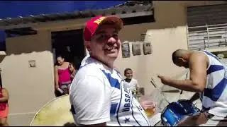 Urso branco de cangaça de ontem 11-01-2026