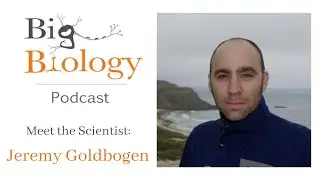 Meet the Scientist: Jeremy Goldbogen