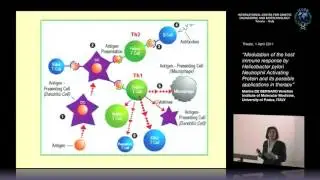 M. De Bernard - Modulation of the host immune response by Helicobacter pylori..