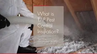 What is TAP Pest Control Insulation?