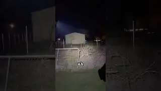 Честно говоря, я был удивлен. #olight #streamlight
